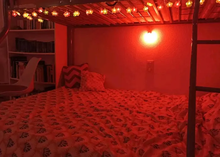 Grande Chambre Chez L\'Habitant Dans Hypercentre Pieton